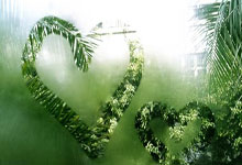 2018俄罗斯世界杯的阿根廷队为何让人又爱又恨？