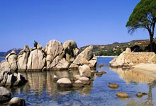 哪里能看日本乙级联赛直播？如何享受日乙赛事观赛体验？